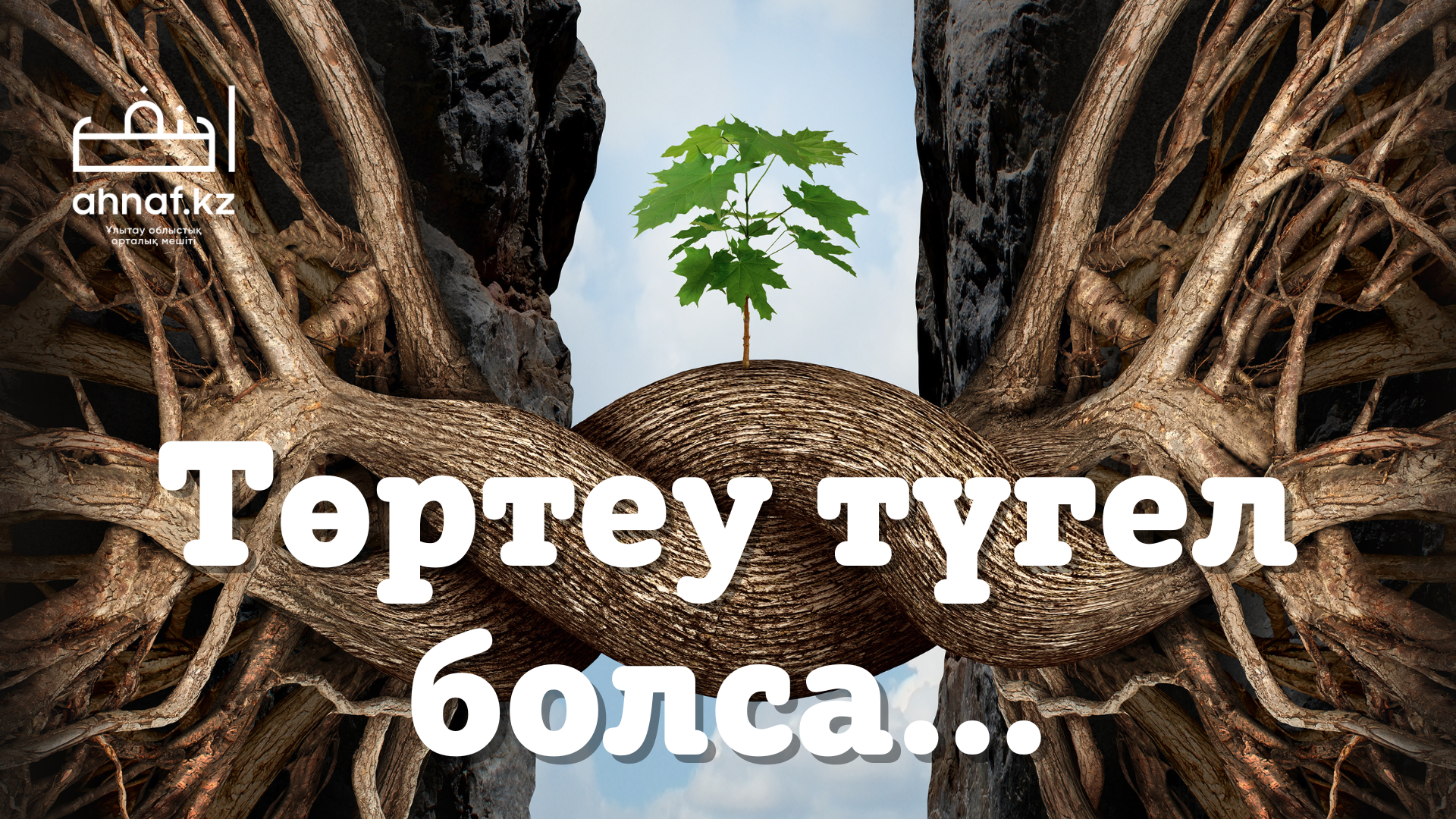 Порно секс анальный ханым Зебра секс видео